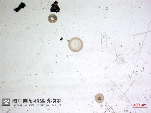 登錄號:A00004654藏品圖，第2張