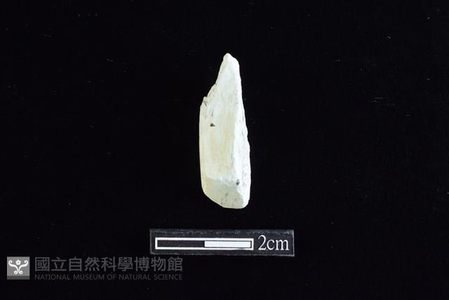 錛鑿形器藏品圖，第2張