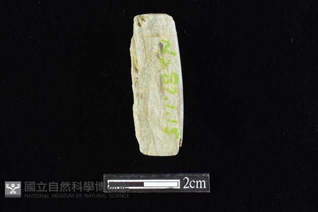 錛鑿形器藏品圖，第2張