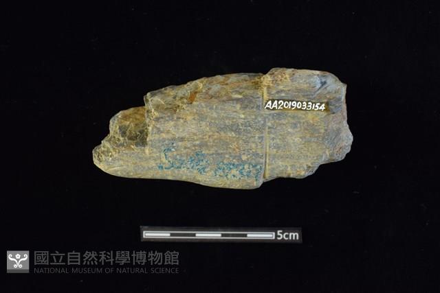 網墜藏品圖，第2張