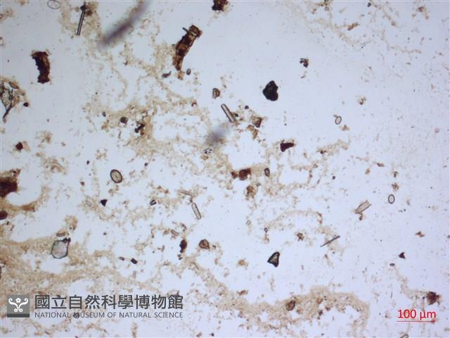 登錄號:A00004554藏品圖，第2張