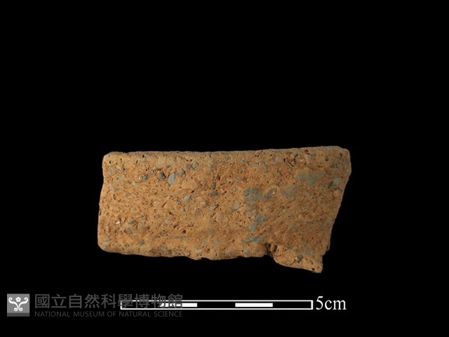 陶罐藏品圖，第1張
