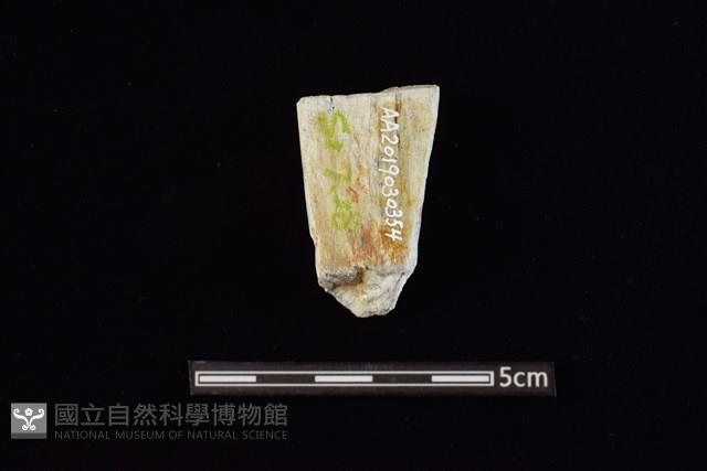 錛鑿形器藏品圖，第2張