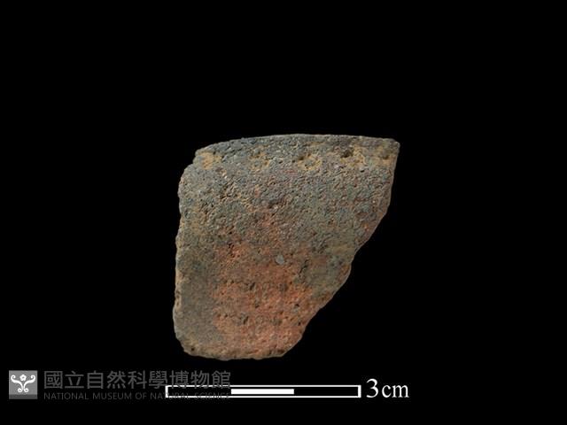 陶罐藏品圖，第1張