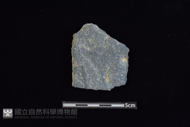 Accession Number:AA2019033754 Collection Image, Figure 1, Total 2 Figures