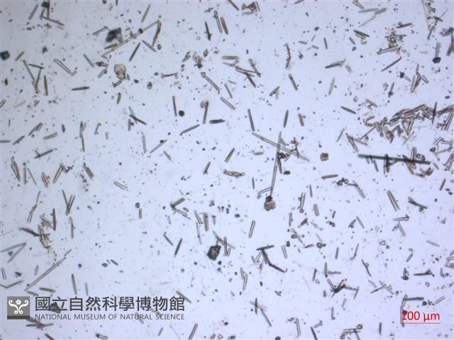 登錄號:A00004624藏品圖，第2張