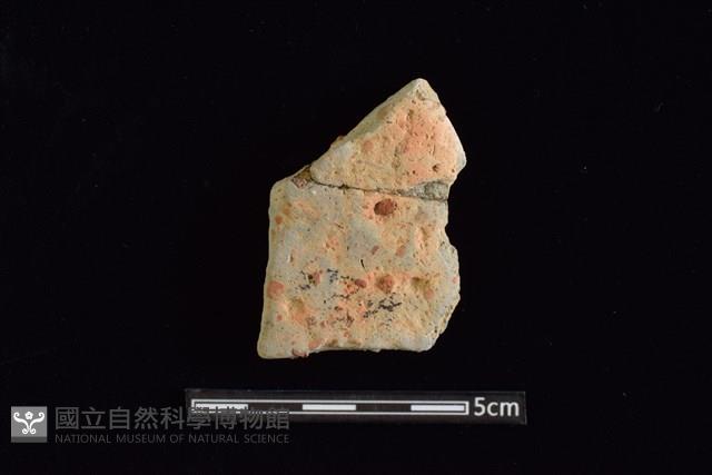 陶片藏品圖，第1張