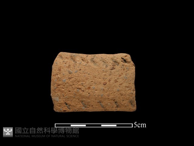 陶把藏品圖，第1張