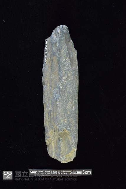 石鎚藏品圖，第2張