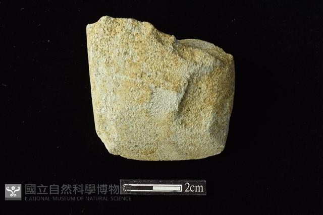 錛鑿形器藏品圖，第1張