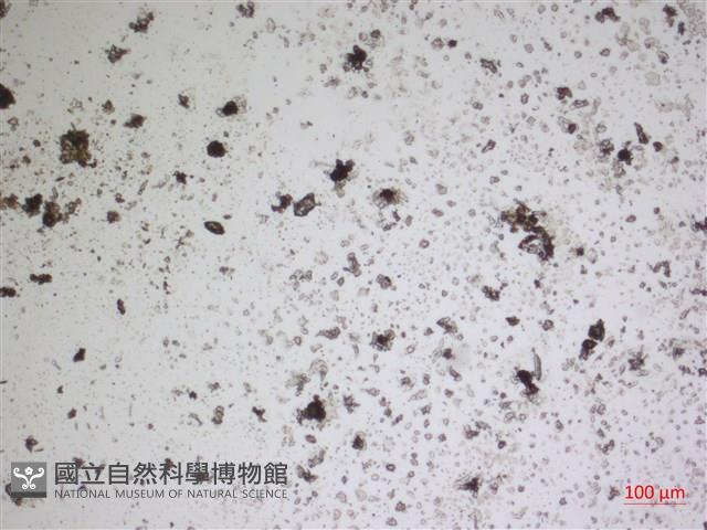 登錄號:A00004674藏品圖，第2張