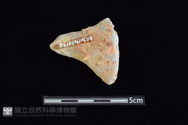 陶片藏品圖，第2張