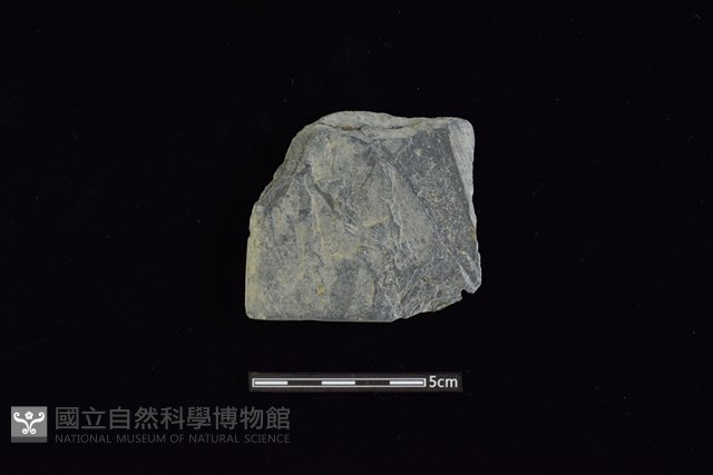 戈形器藏品圖，第1張