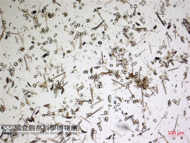 登錄號:A00004574藏品圖，第2張