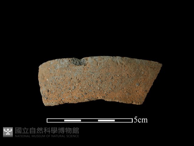 陶罐藏品圖，第1張