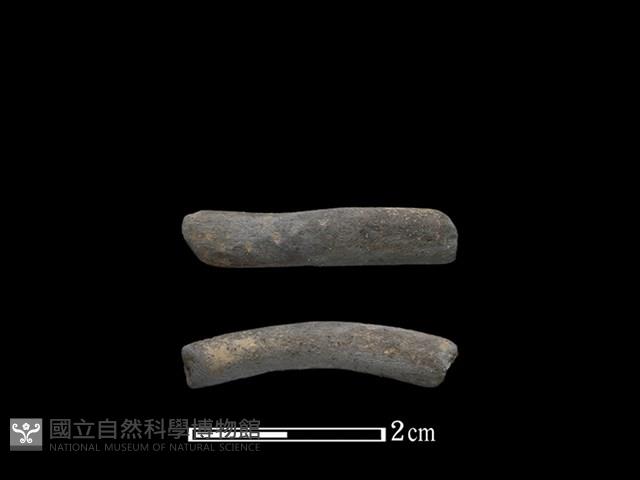 陶環藏品圖，第1張