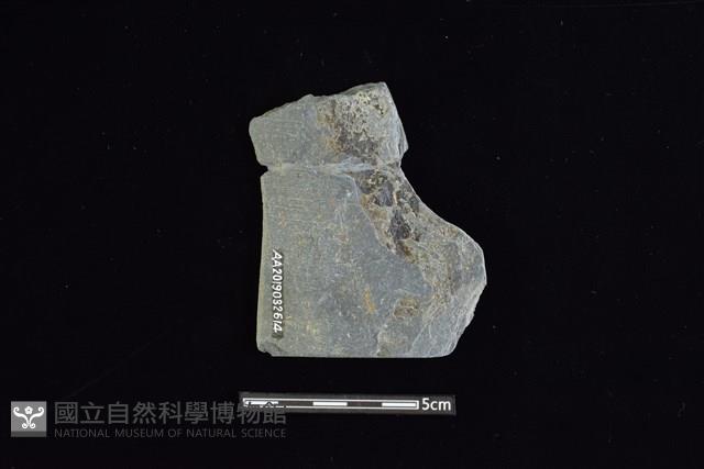 戈形器藏品圖，第1張