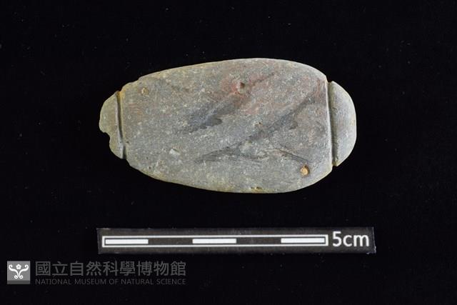 網墜藏品圖，第1張