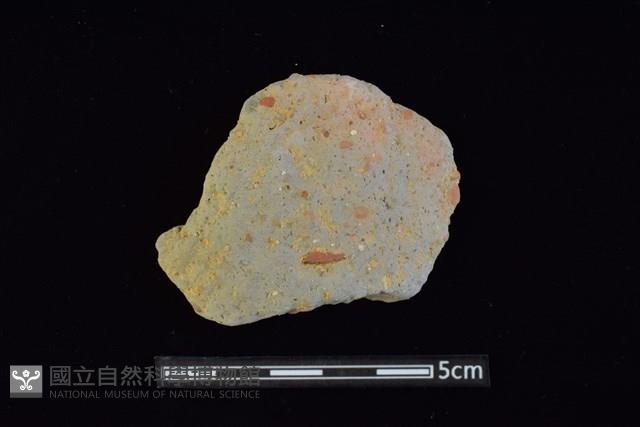 陶片藏品圖，第1張