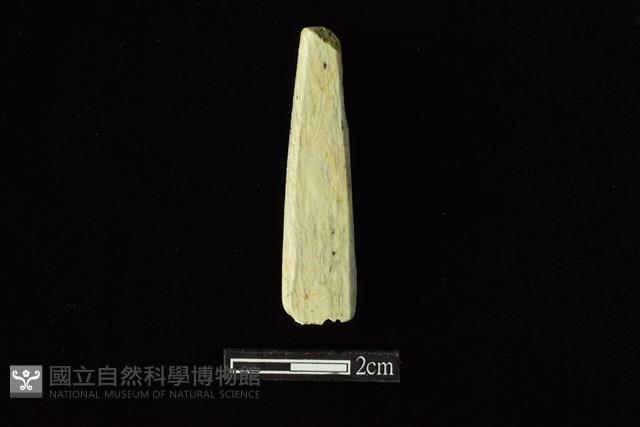 錛鑿形器藏品圖，第2張