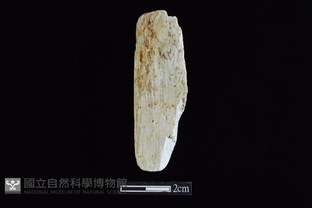 錛鑿形器藏品圖，第2張