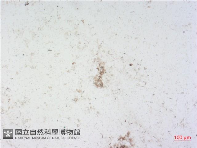 登錄號:A00004514藏品圖，第2張