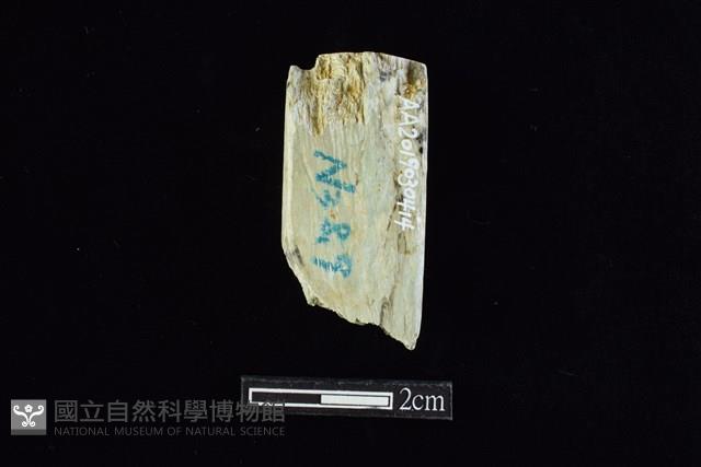 錛鑿形器藏品圖，第1張