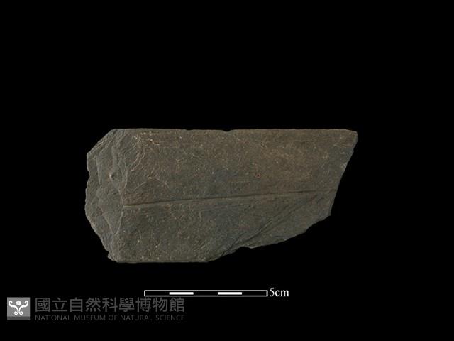 帶加工痕石材藏品圖，第1張