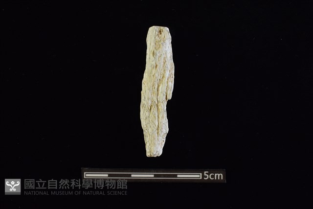 玉料藏品圖，第1張