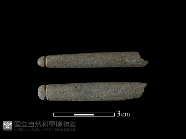 網墜藏品圖，第1張