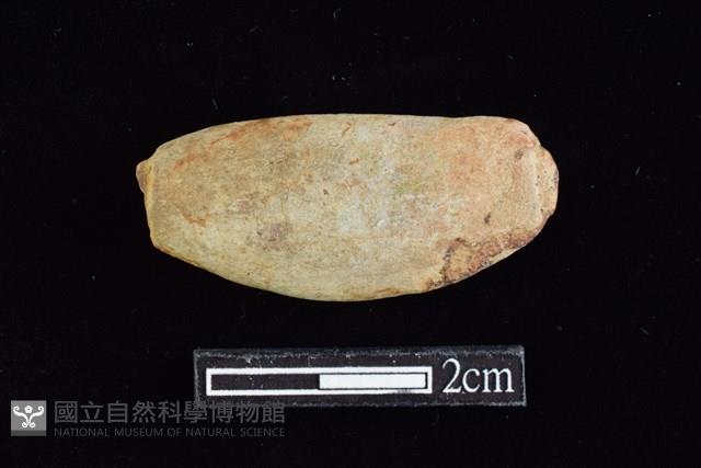 網墜藏品圖，第1張