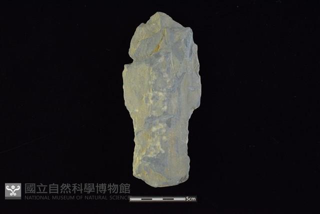 戈形器藏品圖，第1張