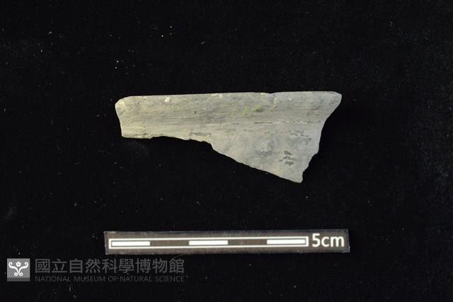 陶缽藏品圖，第1張