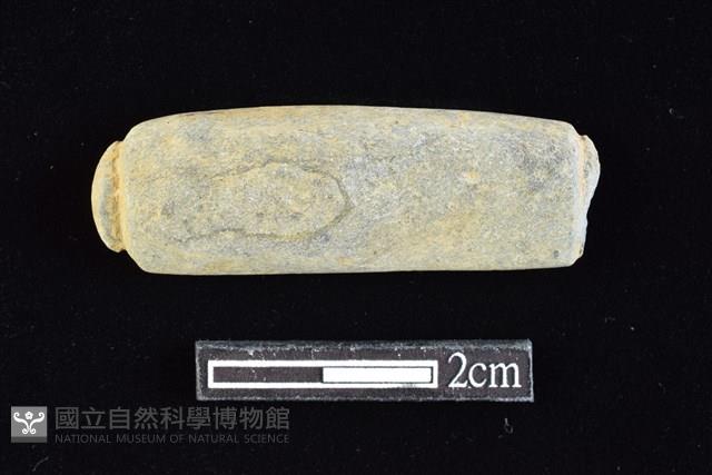 網墜藏品圖，第1張