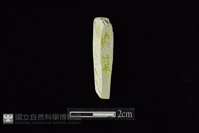 錛鑿形器藏品圖，第2張