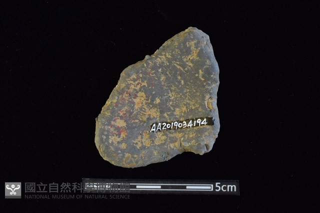 陶片藏品圖，第2張