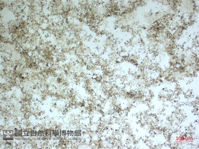 登錄號:A00004594藏品圖，第2張