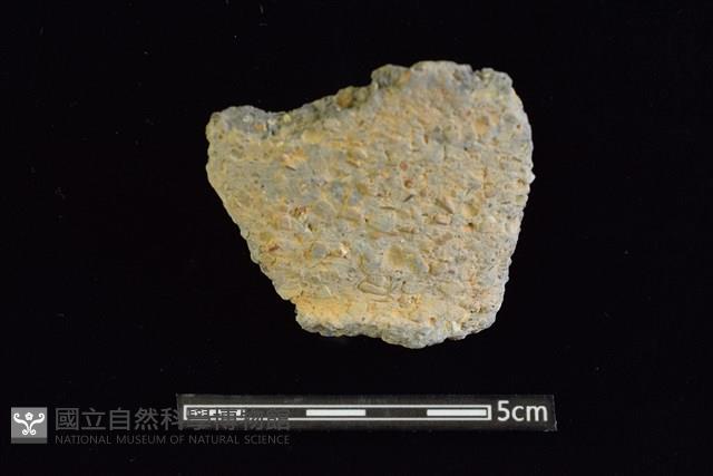 Accession Number:AA2019034494 Collection Image, Figure 1, Total 2 Figures