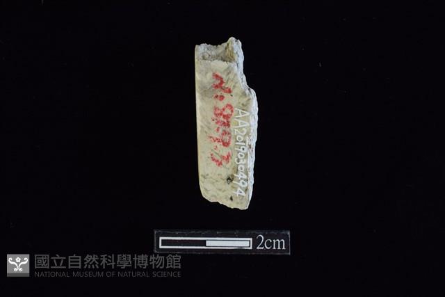 錛鑿形器藏品圖，第2張