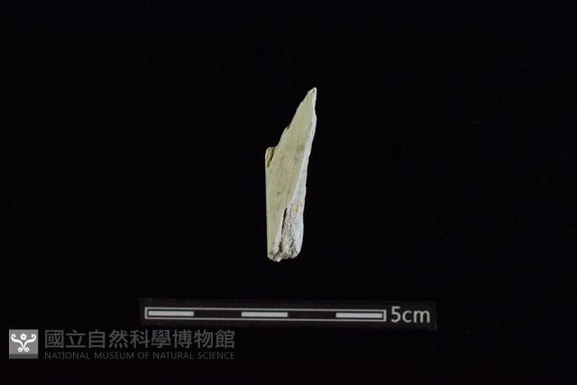 玉料藏品圖，第1張