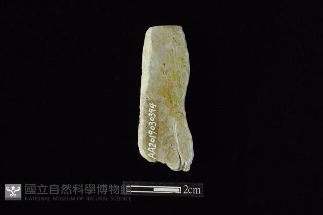 錛鑿形器藏品圖，第2張