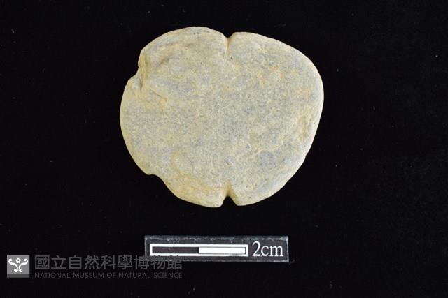 網墜藏品圖，第1張