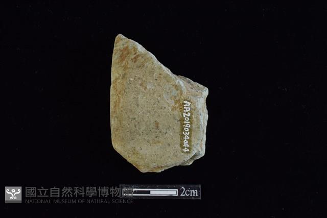 錛鑿形器藏品圖，第2張