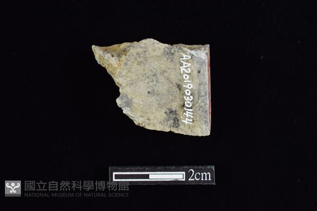 錛鑿形器藏品圖，第2張