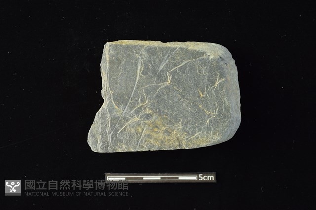 石材藏品圖，第1張