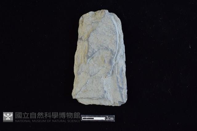 斧鋤形器藏品圖，第1張