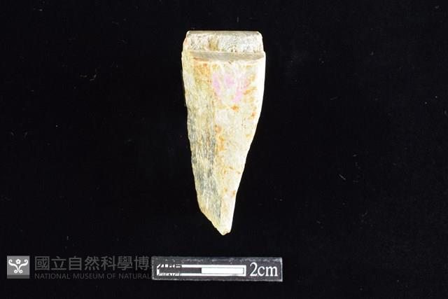 錛鑿形器藏品圖，第1張