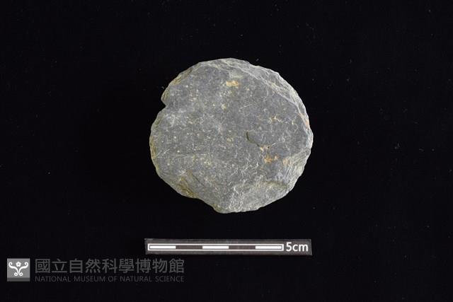 石圓片藏品圖，第1張