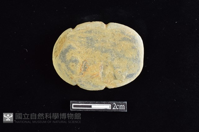 網墜藏品圖，第1張
