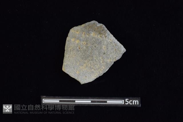 陶片藏品圖，第1張